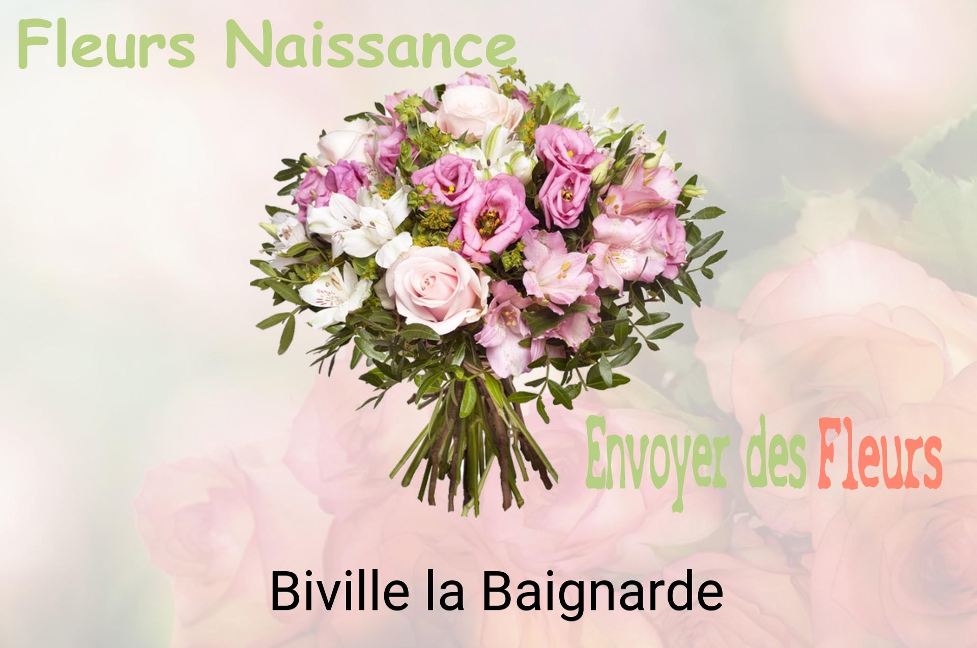 Bouquet de fleurs de naissance livré à Biville-la-Baignarde